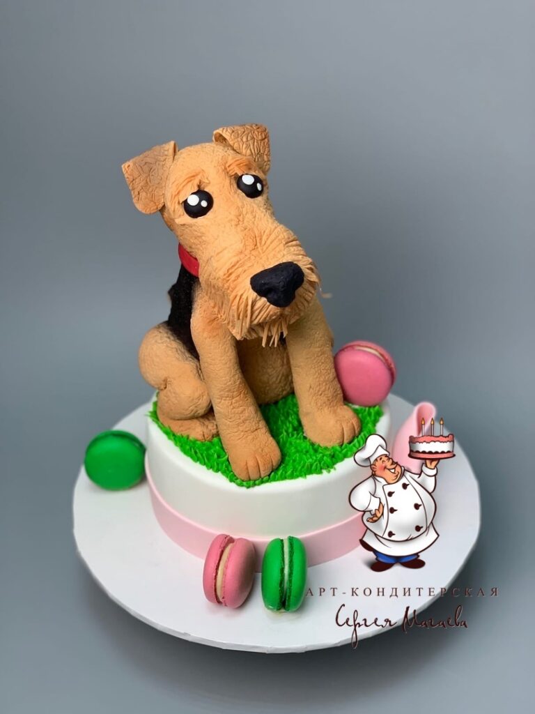 cake